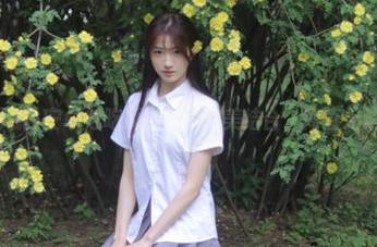 安卓与吃瓜导航的完美结合，简直无法抵抗！