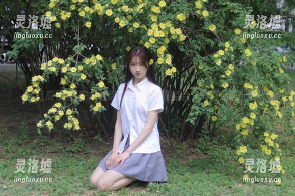 安卓与吃瓜导航的完美结合，简直无法抵抗！