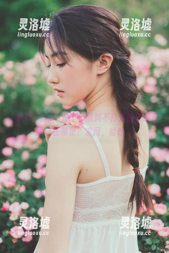 对了，黑料不打烊的资源传送门在哪里？求问，哈哈。