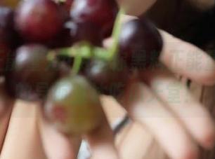 免费送你黑料正能量，让你的导航直达吃瓜天堂！