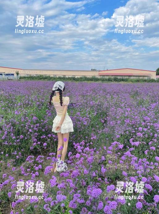 看完黑料老司机网站，忍不住想说些狠话。