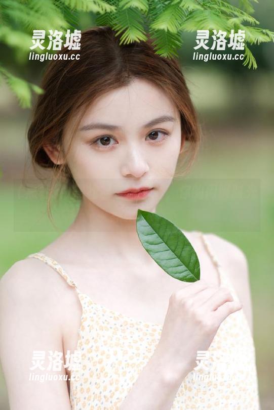 黑社料直达下载，你的闲暇时光新搭档！